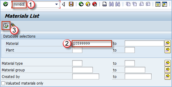 Introduction to Master Data in SAP