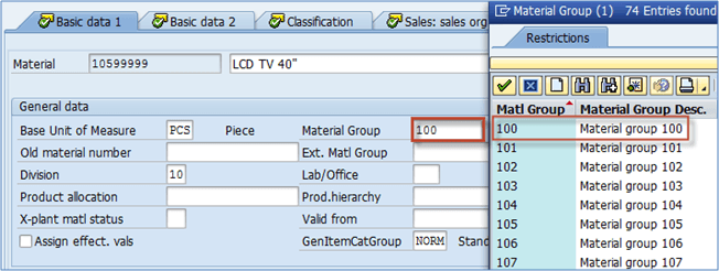 Introduction to Master Data in SAP