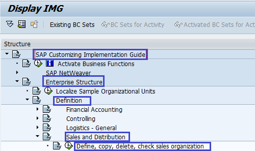 Define Sales Organization | Create sales Organization SAP SD