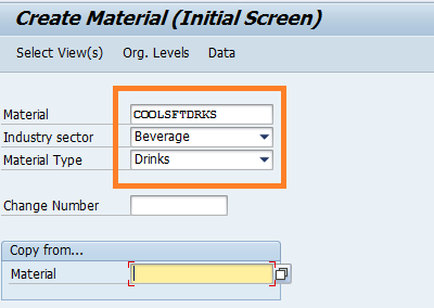 Define Material Master record