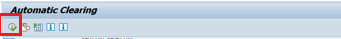 SAP Automatic Clearing – Execute Button