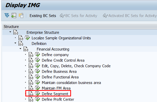 Define segment in SAP