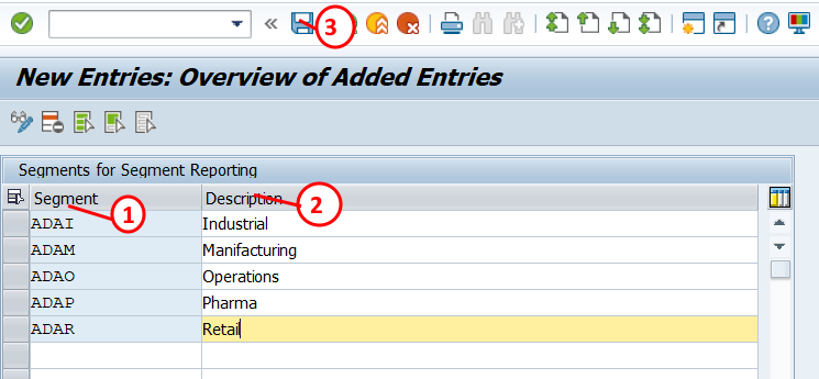 Define segments in SAP