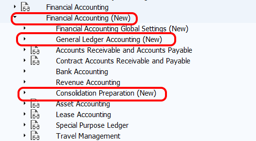 Financial Accounting new in SAP