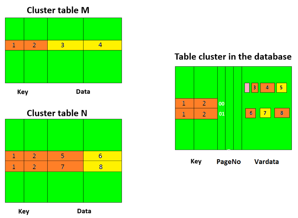 SAP Cluster Table Storage Model