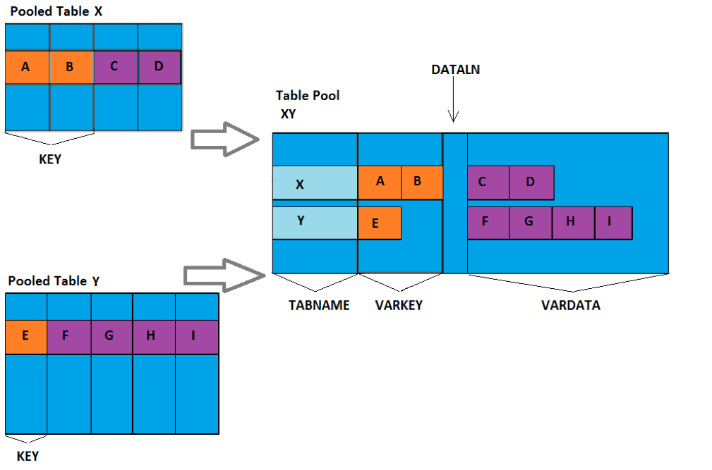 SAP Pooled Table Storage Model