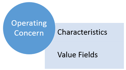 SAP Operating Concern Contains Characteristics and Value Fields