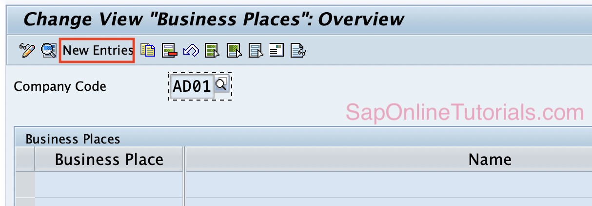 Business Place new entries in SAP HANA